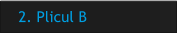 2. Plicul B