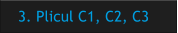 3. Plicul C1, C2, C3