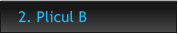 2. Plicul B